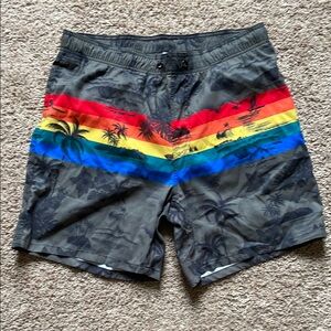 Men's Gray Swim Shorts with Rainbow Stripes